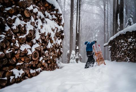 Preis in der Kategorie "künstlerisch wertvoll"