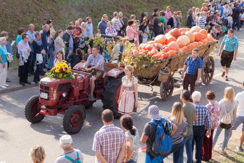 Erntedank- & Weinfest
