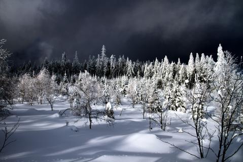 Sonderpreis für  "Magische Lichtmomente"
