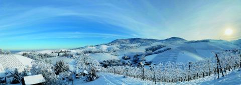 Preis in der Kategorie "Landschaft"