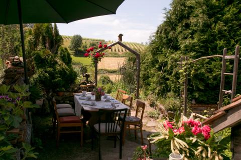 wildromantischer Bauerngarten beim Dolle Hus 
