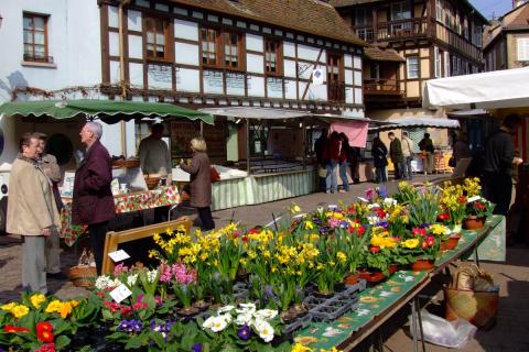 220000704_marche_hebdomadaire