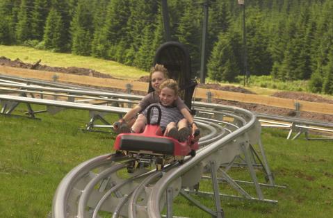 Mehliskopf_Sommerrodelbahn