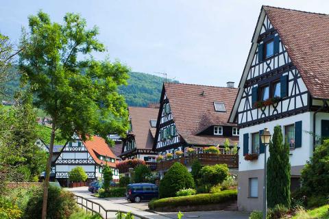 Königsrainstrasse_2788