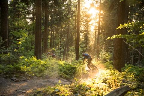 world_of_mtb_Sasbachwalden_2018_25_WEB
