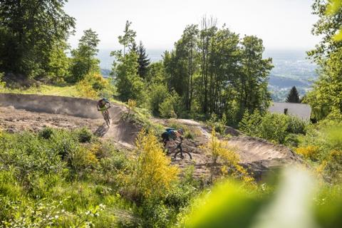world_of_mtb_Sasbachwalden_2018_8_WEB