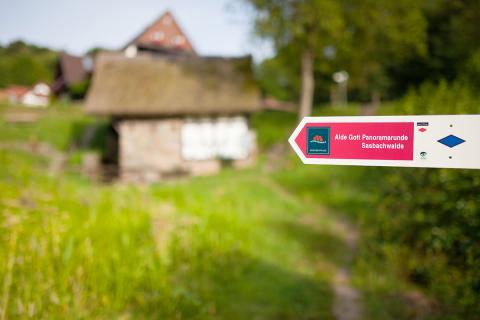 Geführte Wanderungen & Besichtigungen