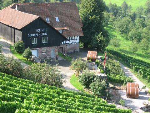 Erich Wild, Hof Wild