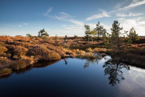 IMG_5109_See_Landschaft