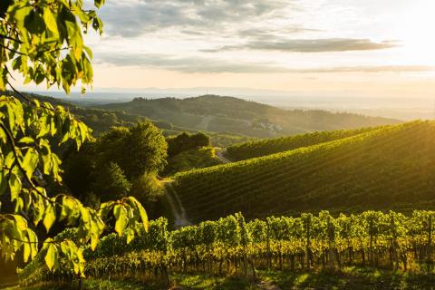 Unsere schönsten Aussichtspunkte