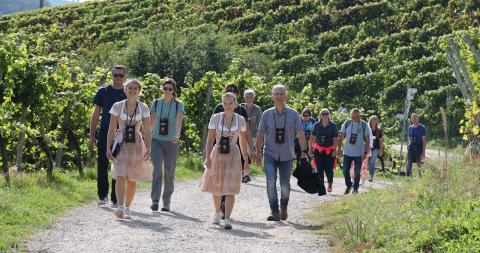 Weinwanderung mit den Weinhoheiten 