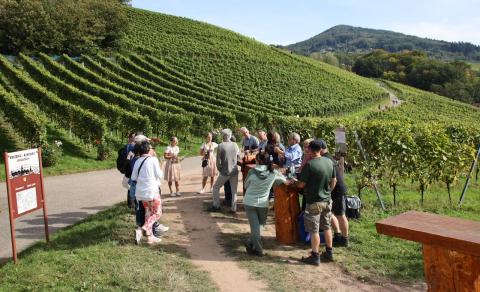 Weinwanderung mit den Weinhoheiten 