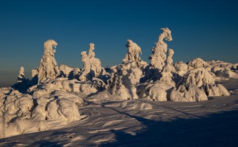 Preis in der Kategorie "Kreativität"