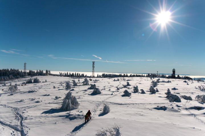 Verschneite Hornisgrinde
